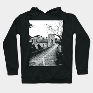 Fantastic Places Still Exist Hoodie